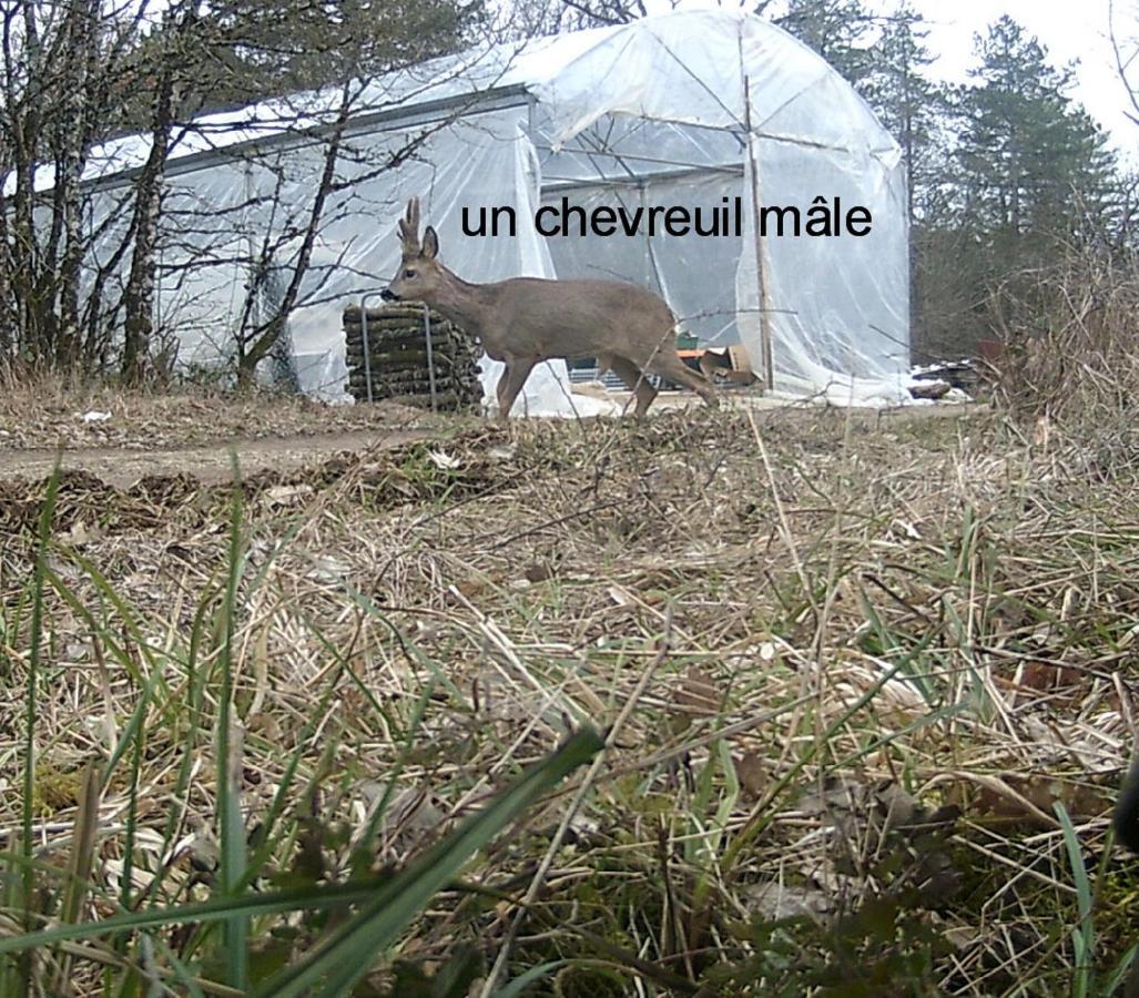 ホテル Domaine De Couchenoire Joux-la-Ville エクステリア 写真